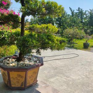 LINE_ALBUM_民宿_220315_3