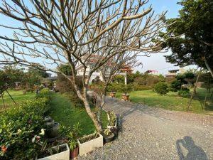 LINE_ALBUM_農地1_220315_13