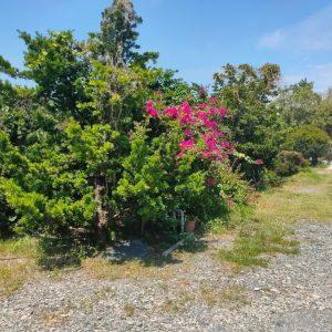 LINE_ALBUM_農地1_220315_6