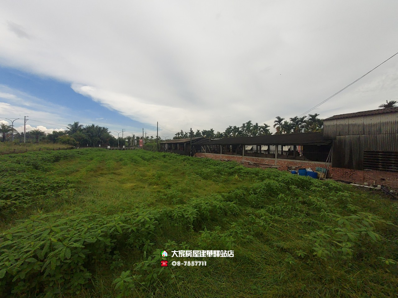 LINE_ALBUM_海豐農地_220613_3
