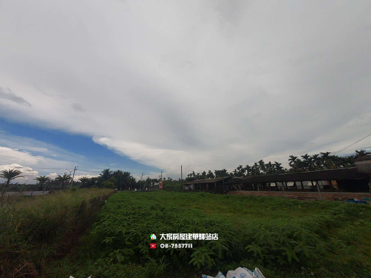 LINE_ALBUM_海豐農地_220613_5