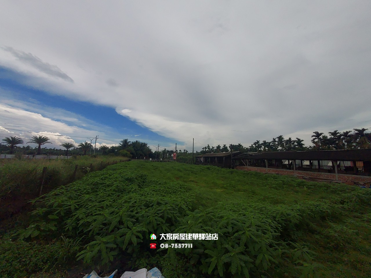 LINE_ALBUM_海豐農地_220613_7