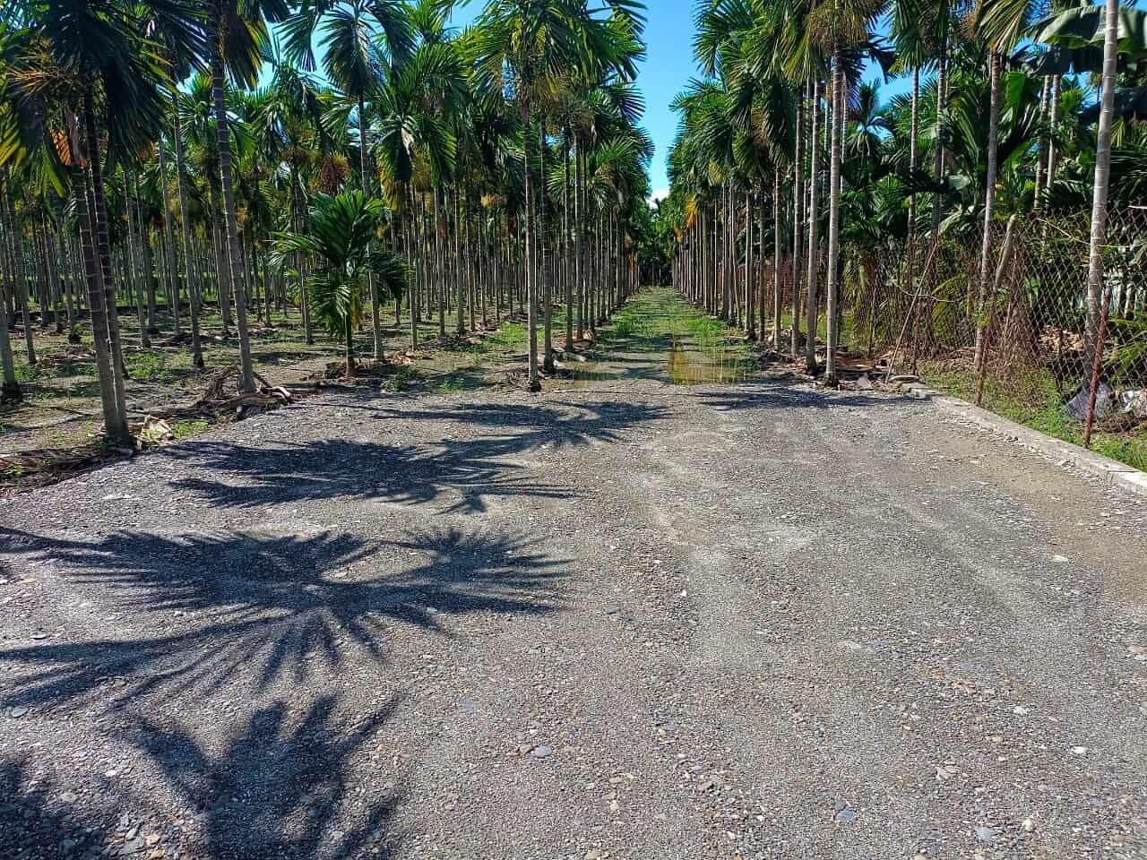 LINE_ALBUM_長治交流道農地售價698萬_230724_1