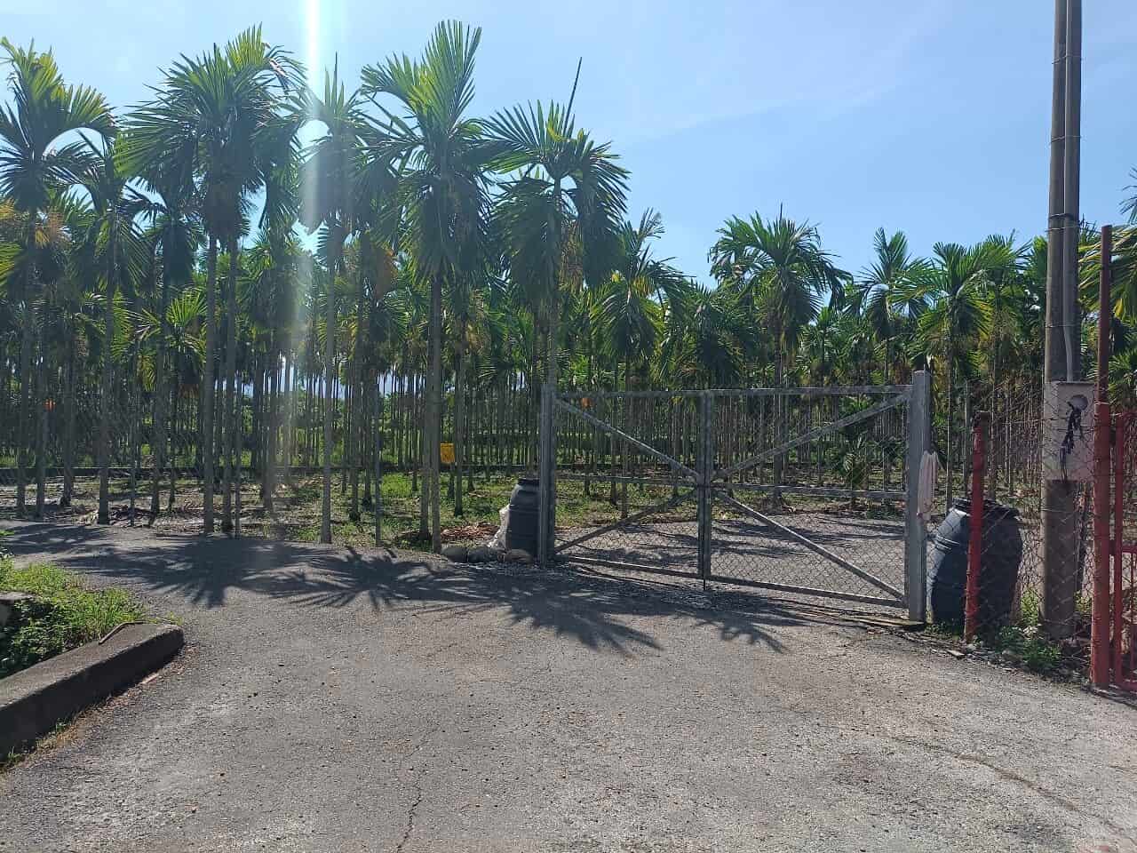 LINE_ALBUM_長治交流道農地售價698萬_230724_7
