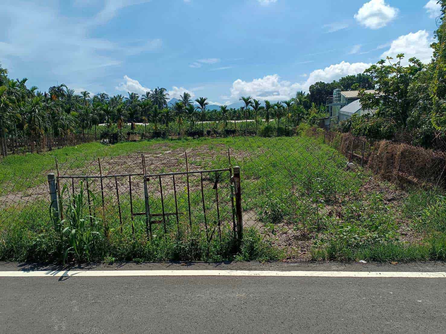 LINE_ALBUM_長治交流道農地_230906_6