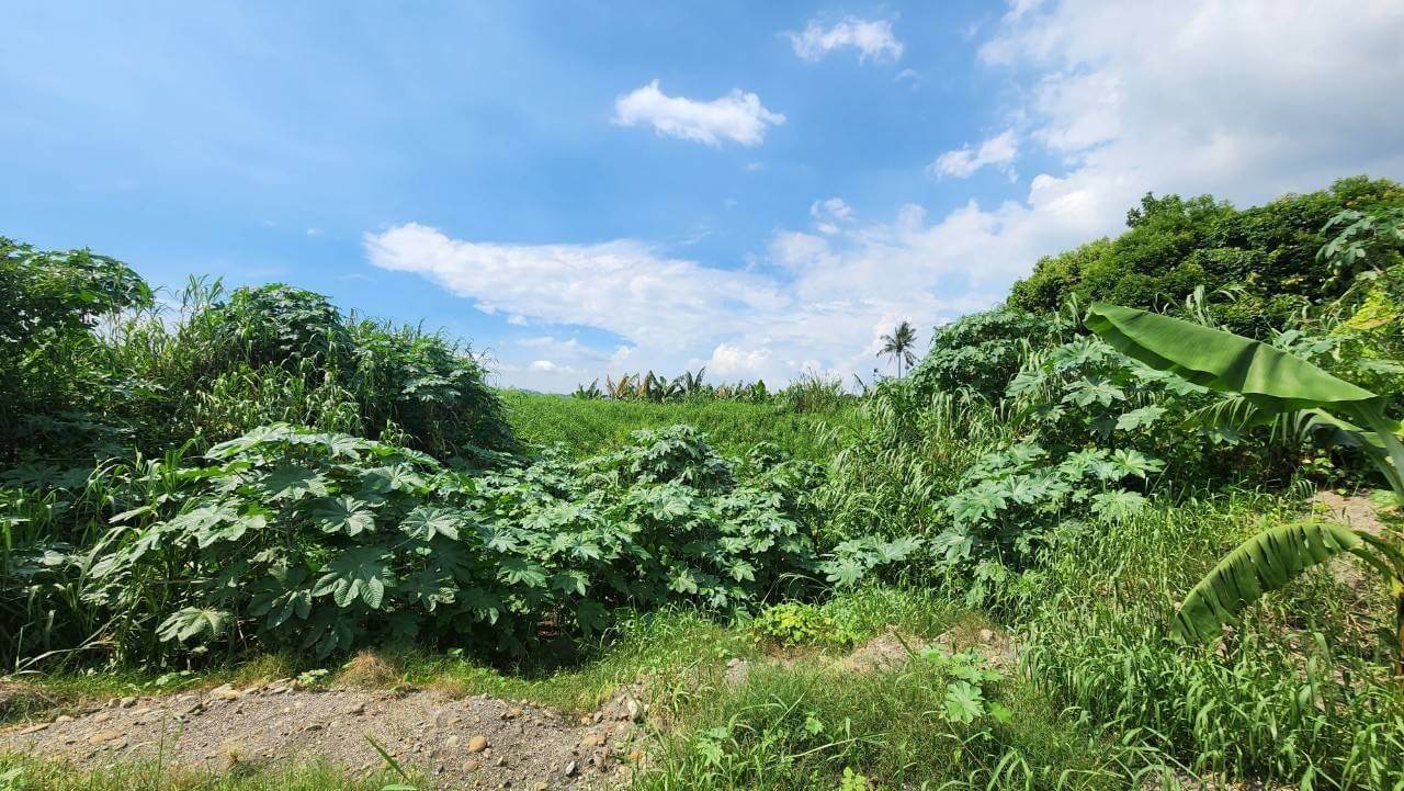 現場相片-橫 (2)